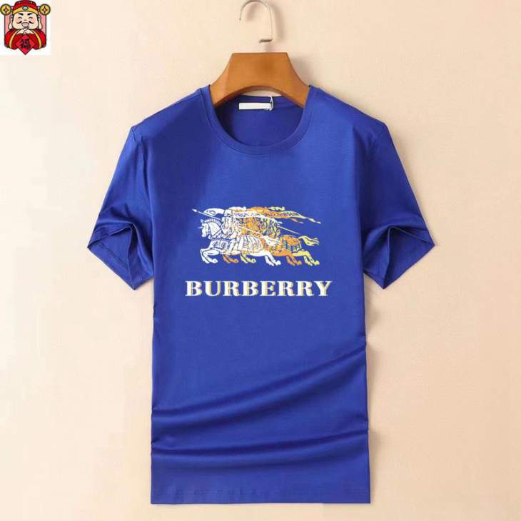 Picture of Burberry T Shirts Short _SKUBurberryM-5XLkdtr1620057